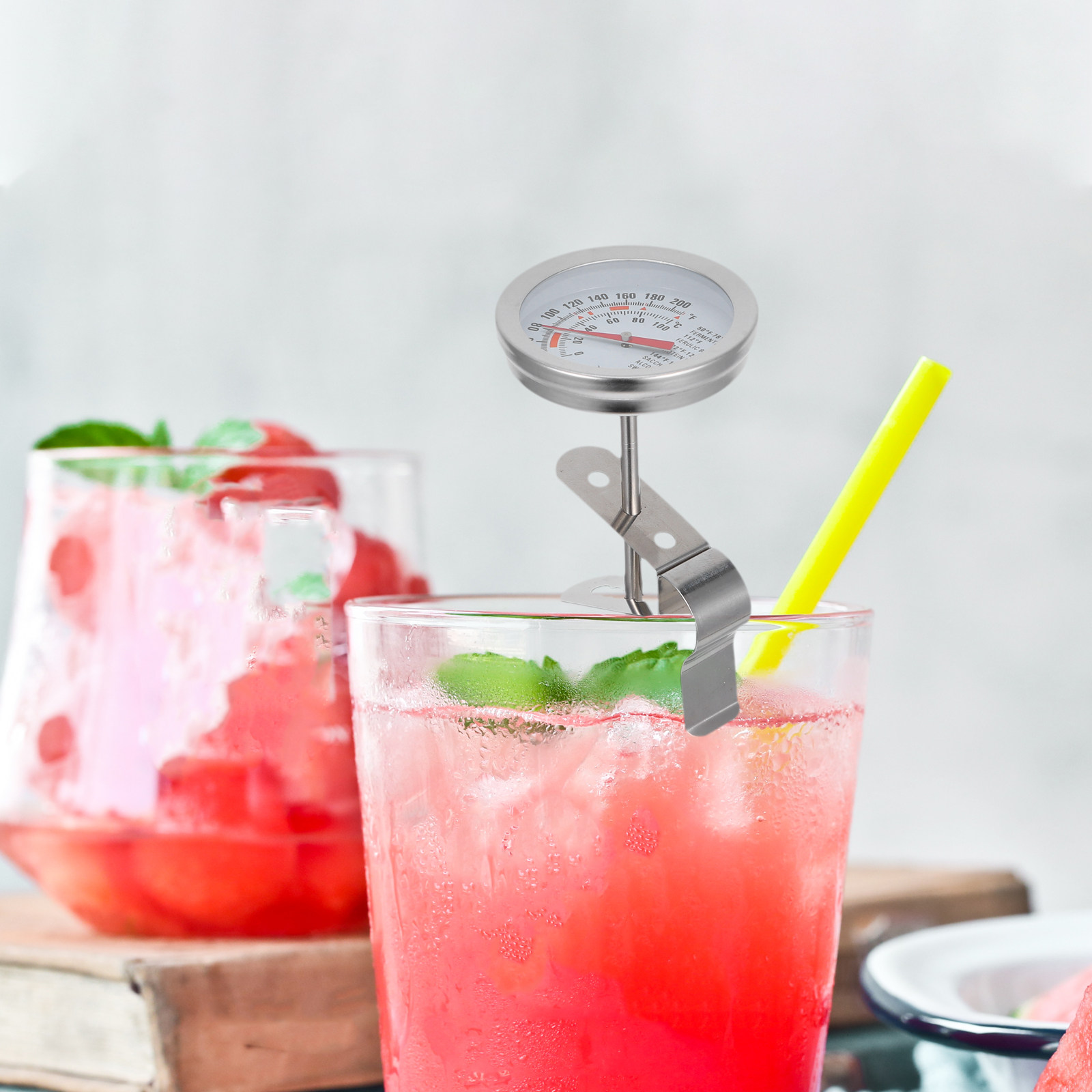 304 Stainless Steel Detachable - Instant Read Thermometer ulasan dan harga