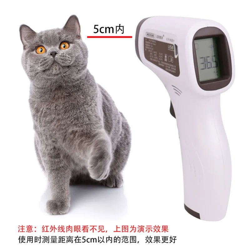 Thermometer Veterinary Equipme - Instant Read Thermometer ulasan dan harga