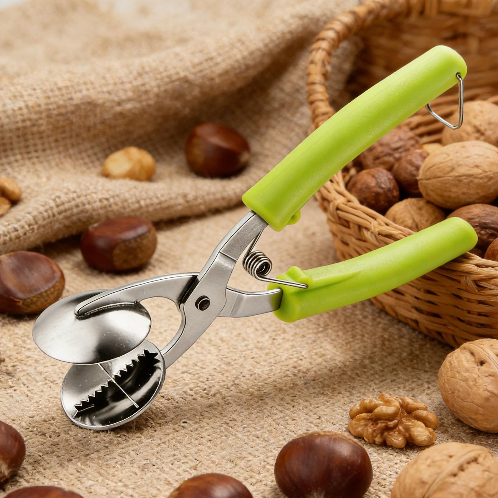 Stainless Chestnut Machine Kit - Kitchen Gadgets Machine ulasan dan harga